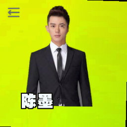 陈墨